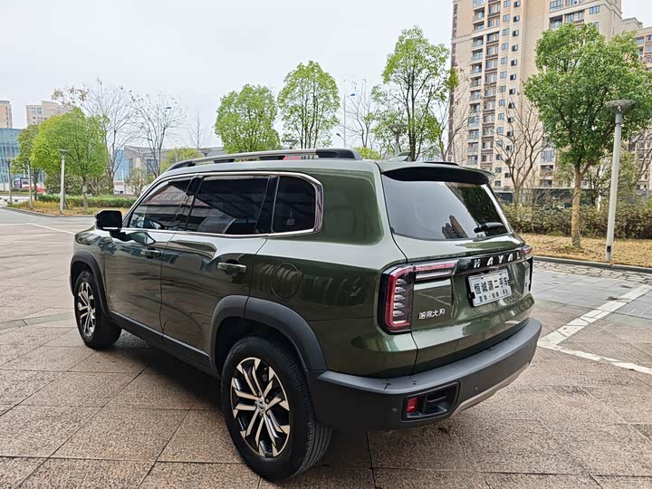 Фото 7 - Haval Dargo