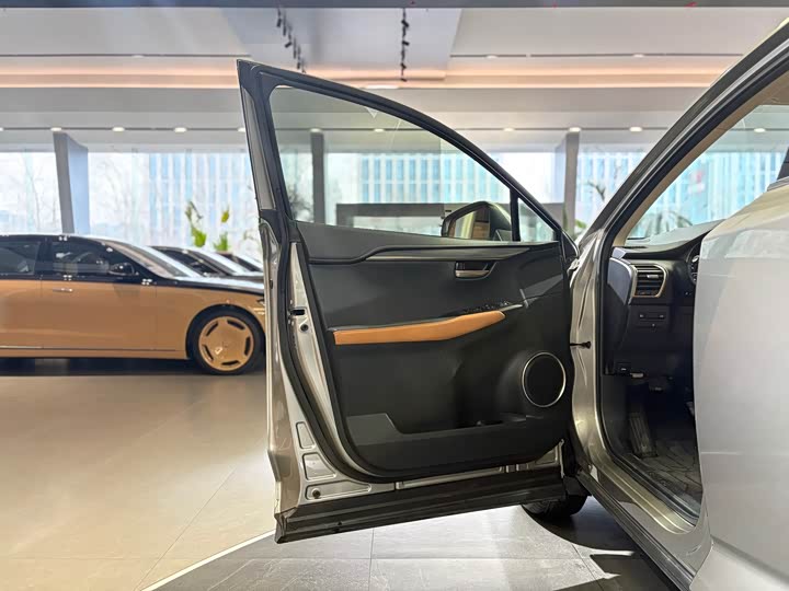 Фото 9 - Lexus NX