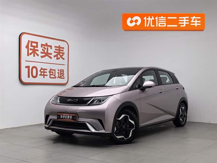 Фото 1 - BYD Dolphin