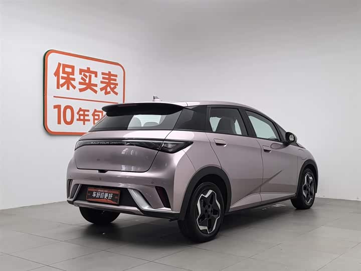 Фото 2 - BYD Dolphin