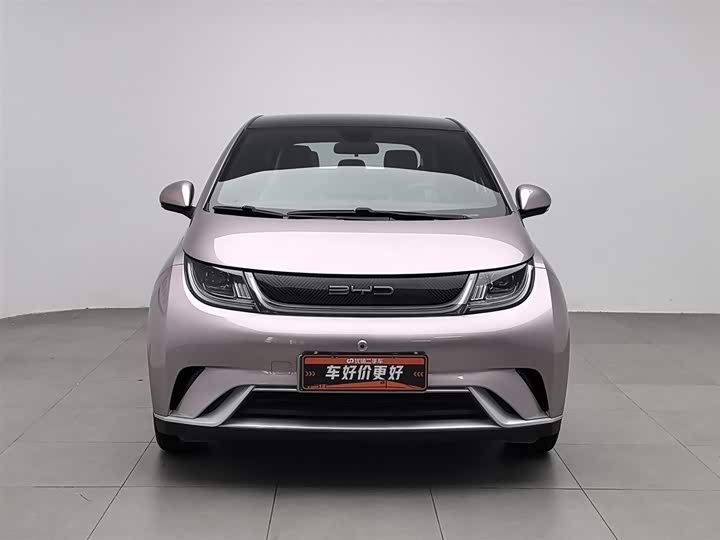 Фото 3 - BYD Dolphin