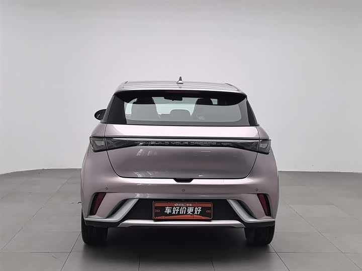 Фото 4 - BYD Dolphin