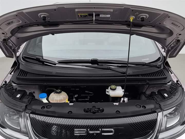 Фото 6 - BYD Dolphin