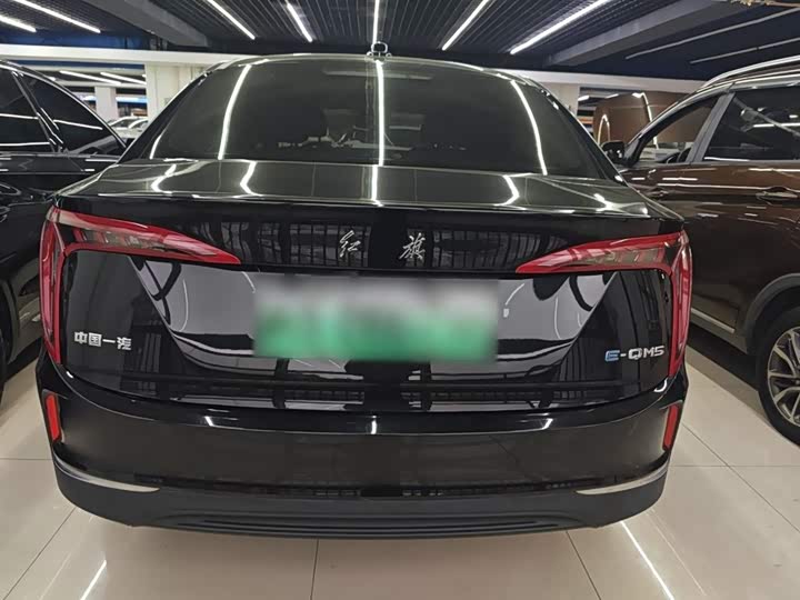 Фото 6 - Hongqi E-QM5