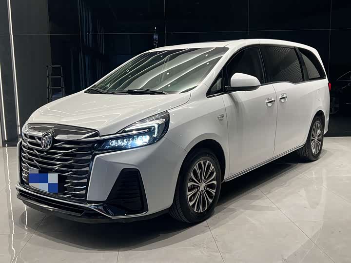 Фото 1 - Buick GL8 ES