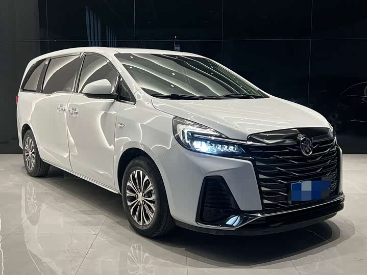 Фото 3 - Buick GL8 ES