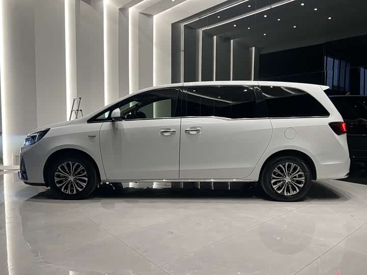 Фото 5 - Buick GL8 ES