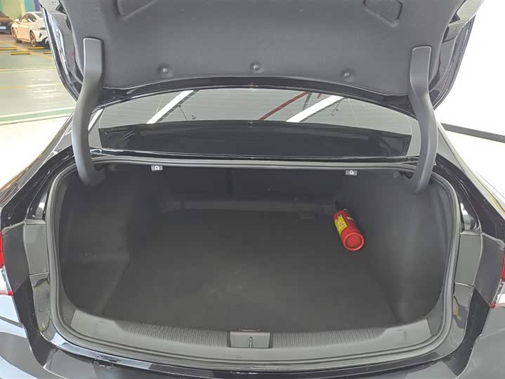 Фото 4 - Buick Regal