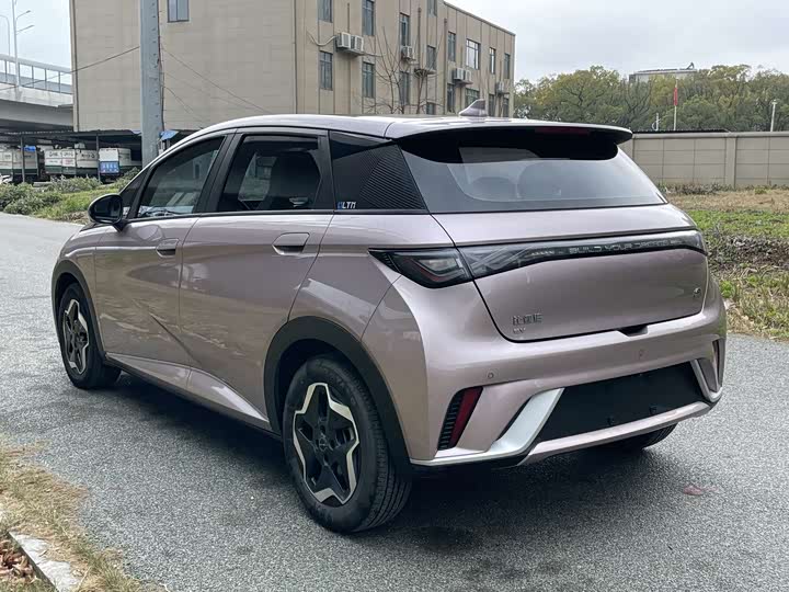 Фото 2 - BYD Dolphin