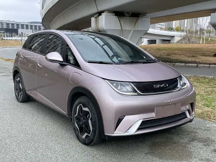 Фото 3 - BYD Dolphin