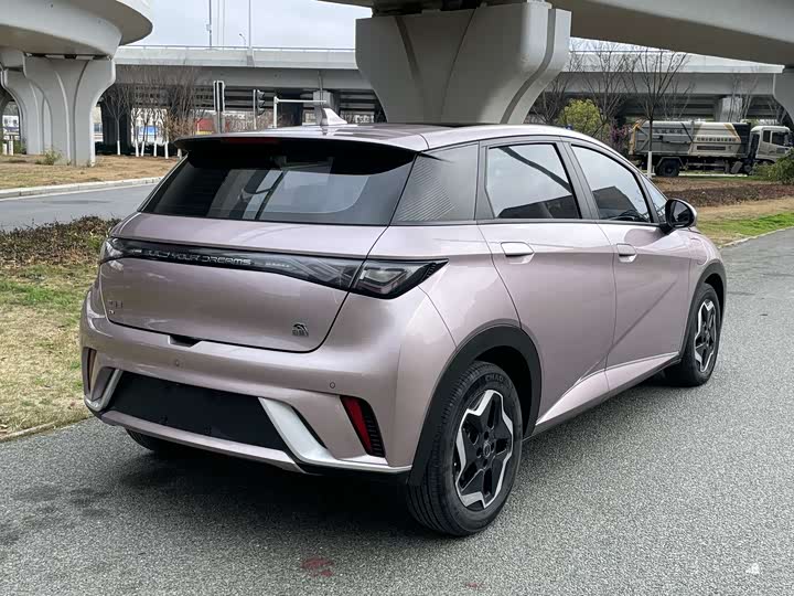 Фото 4 - BYD Dolphin