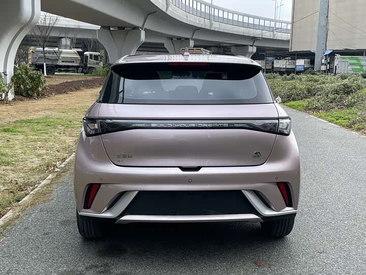 Фото 5 - BYD Dolphin