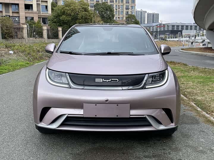 Фото 6 - BYD Dolphin