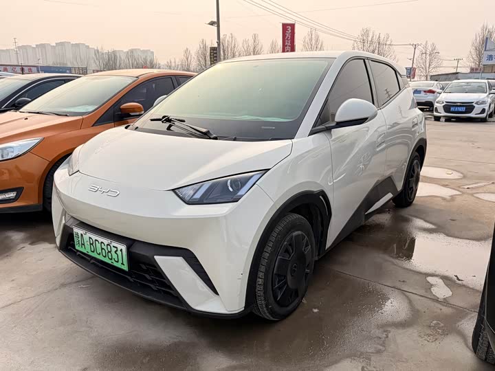 Фото 1 - BYD Seagull