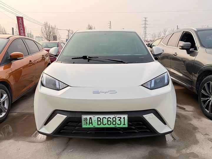 Фото 2 - BYD Seagull