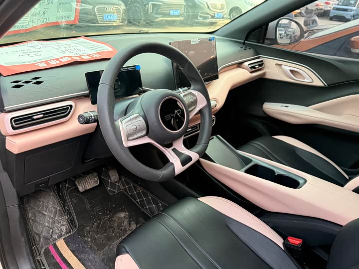 Фото 4 - BYD Seagull