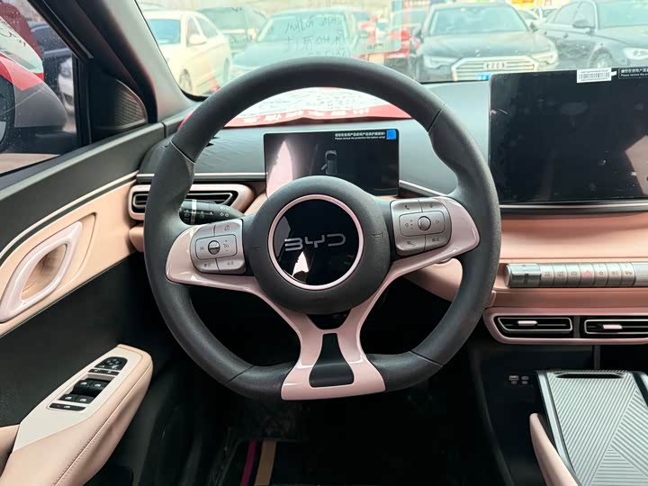 Фото 6 - BYD Seagull