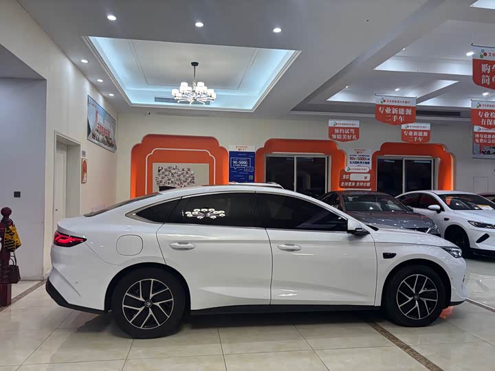 Фото 4 - BYD Qin L