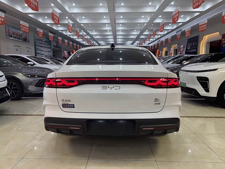 Фото 6 - BYD Qin L