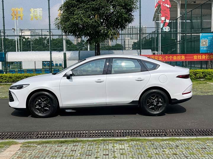 Фото 4 - BYD Qin Plus