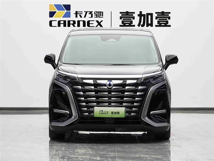 Фото 2 - Denza D9