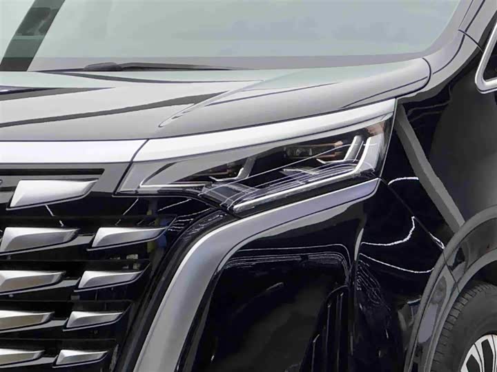 Фото 3 - Denza D9