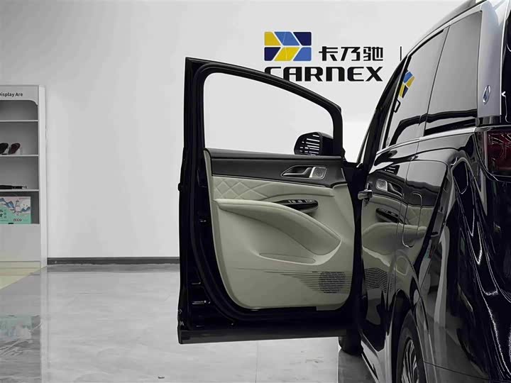 Фото 5 - Denza D9