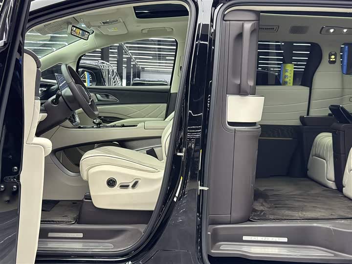 Фото 6 - Denza D9