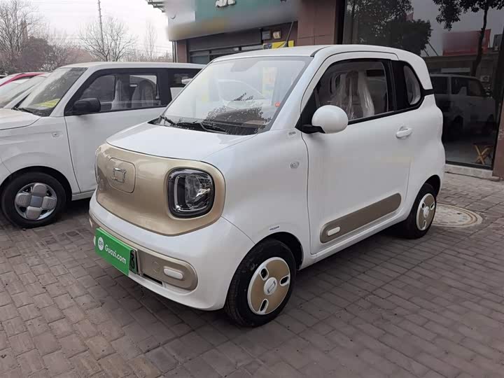 Фото 1 - Bestune Pony