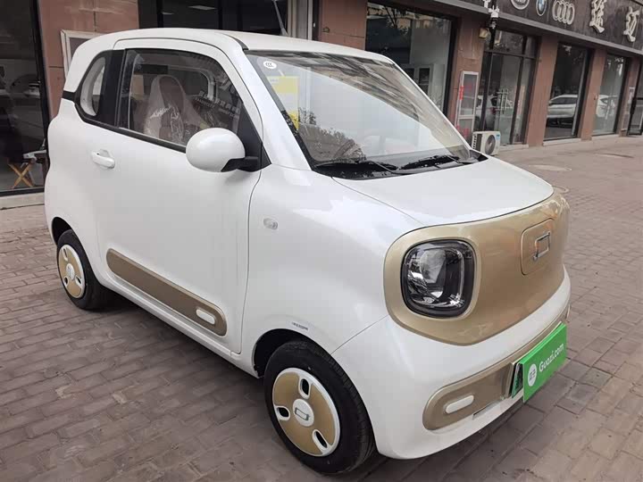 Фото 4 - Bestune Pony