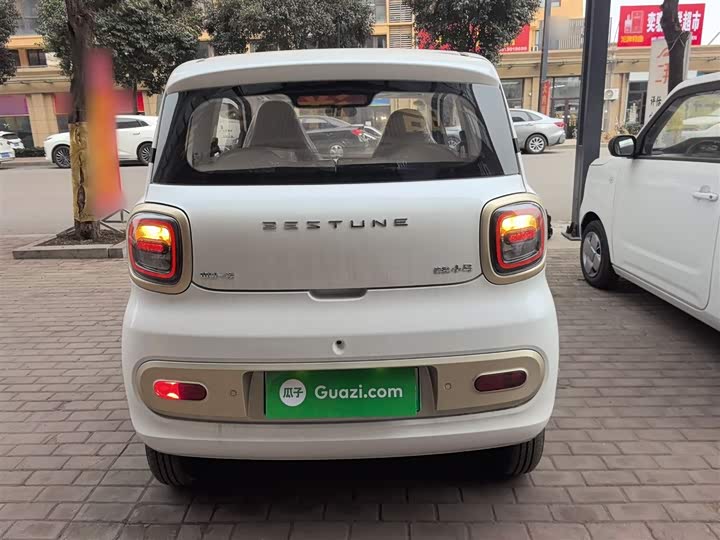 Фото 6 - Bestune Pony