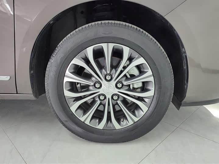 Фото 6 - Buick GL8 ES