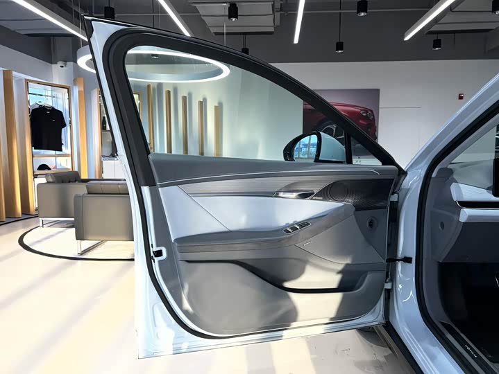 Фото 6 - Voyah Passion