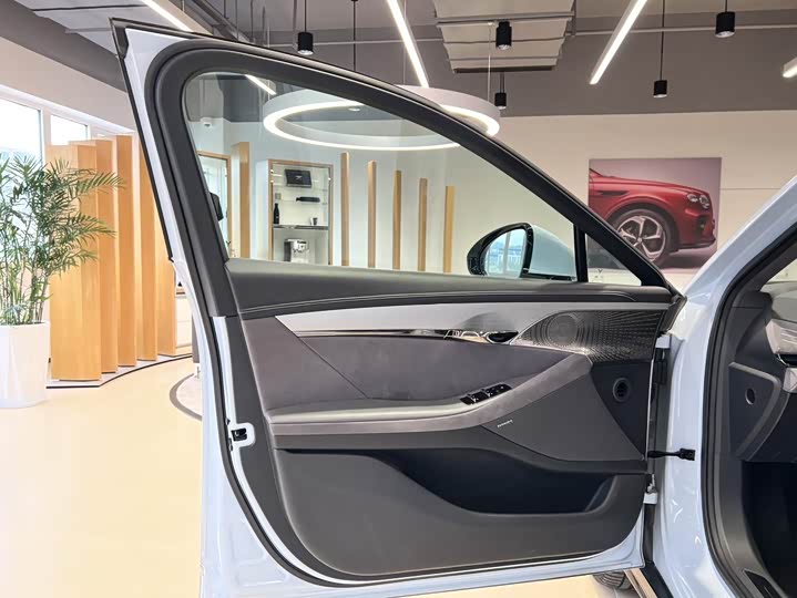 Фото 8 - Voyah Passion