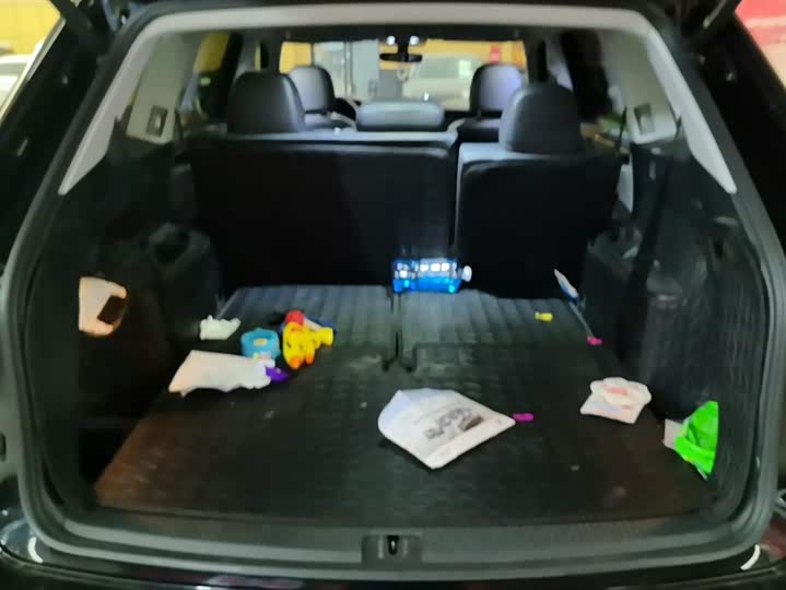 Фото 4 - Volkswagen Teramont Pro