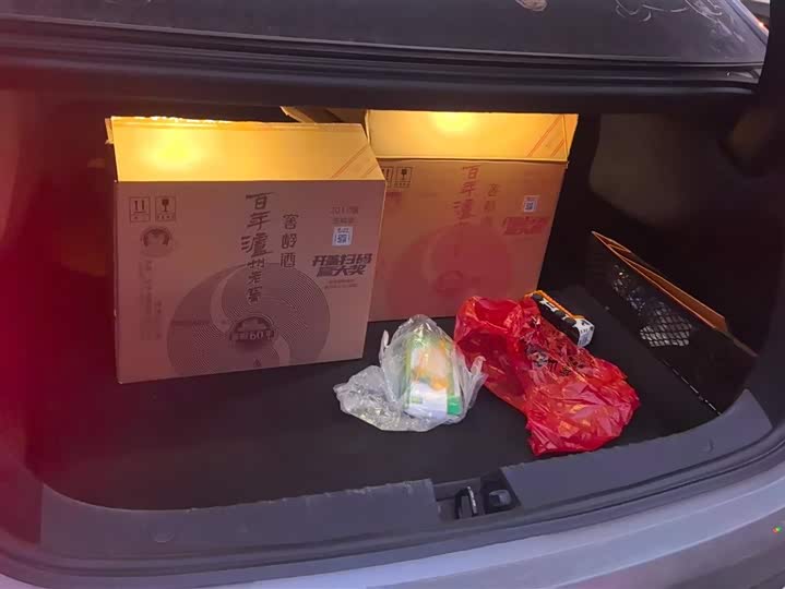 Фото 4 - BYD Han