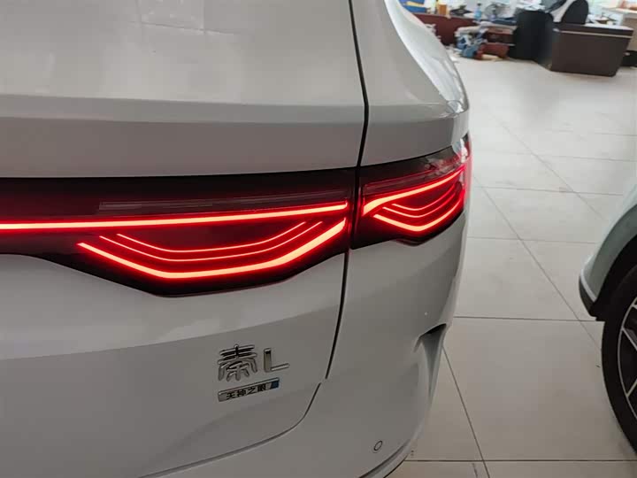 Фото 8 - BYD Qin L