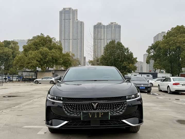 Фото 2 - Voyah Passion