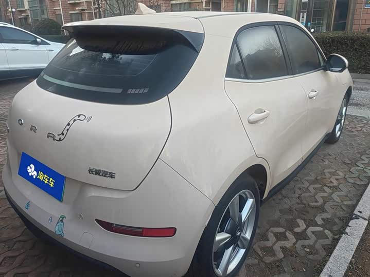 Фото 3 - Ora Good Cat (03)