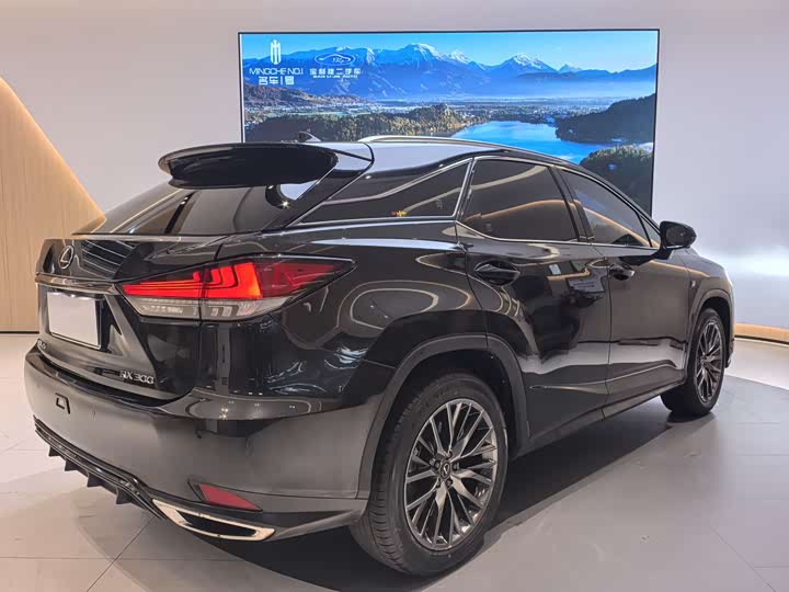 Фото 6 - Lexus RX