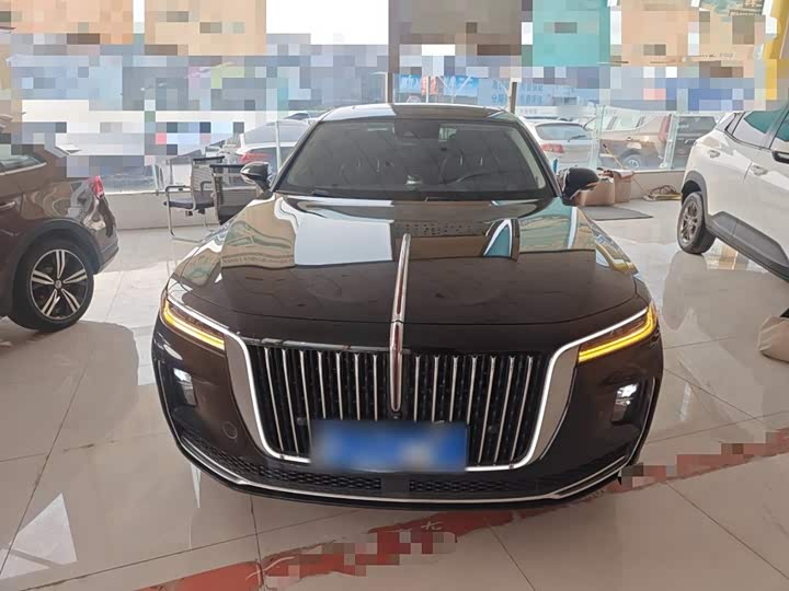 Фото 3 - Hongqi H9