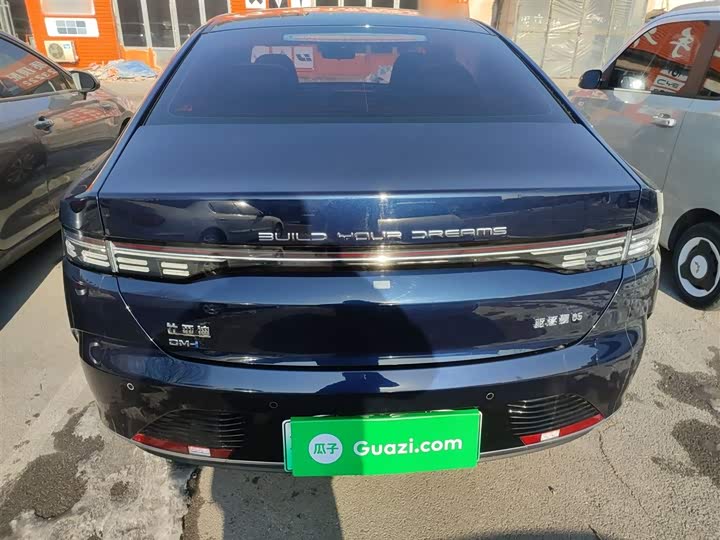 Фото 6 - BYD Destroyer 05