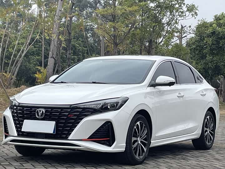 Фото 2 - Changan Eado Plus