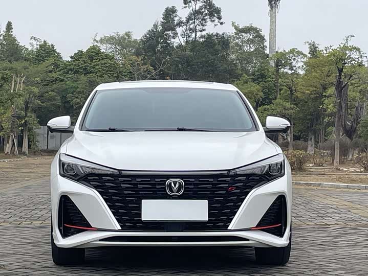 Фото 3 - Changan Eado Plus