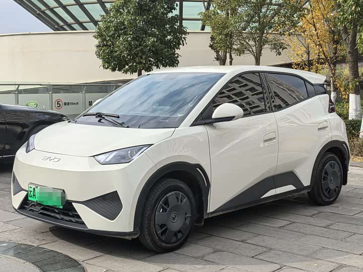 Фото 1 - BYD Seagull