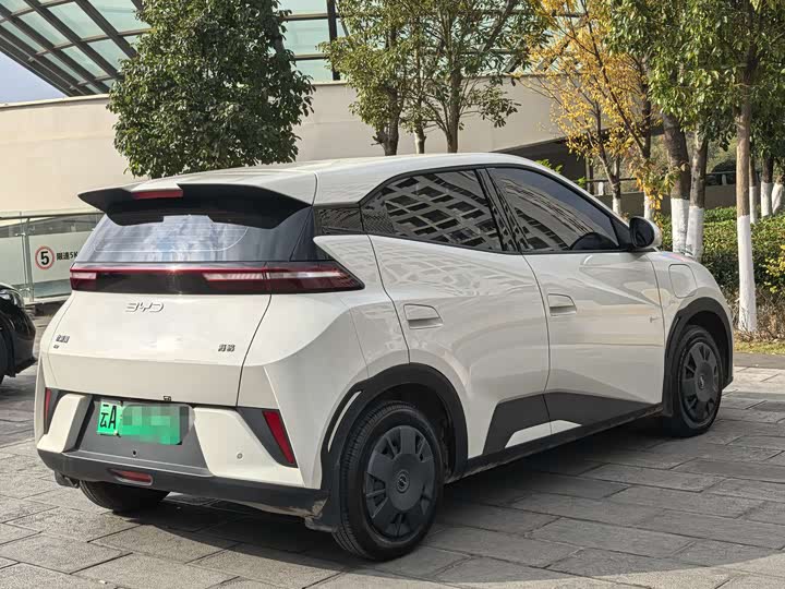 Фото 7 - BYD Seagull