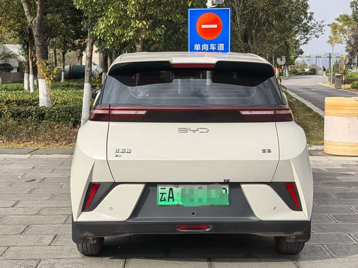 Фото 8 - BYD Seagull