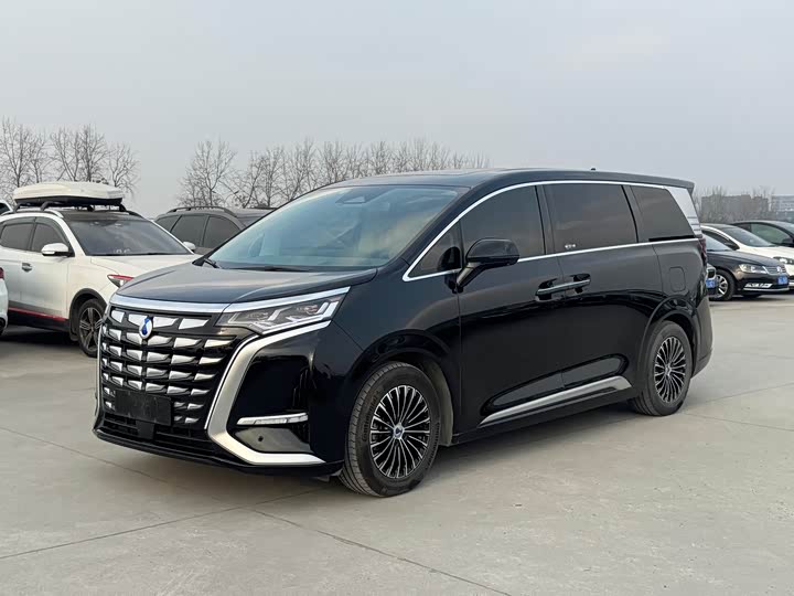 Фото 1 - Denza D9