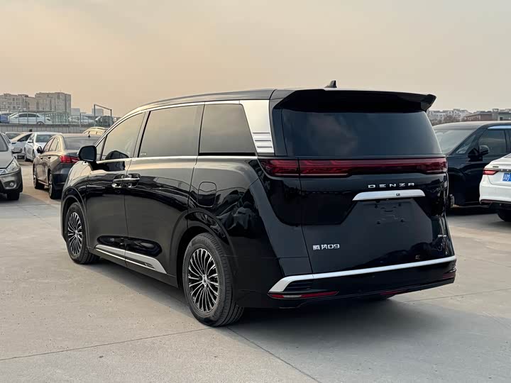 Фото 6 - Denza D9