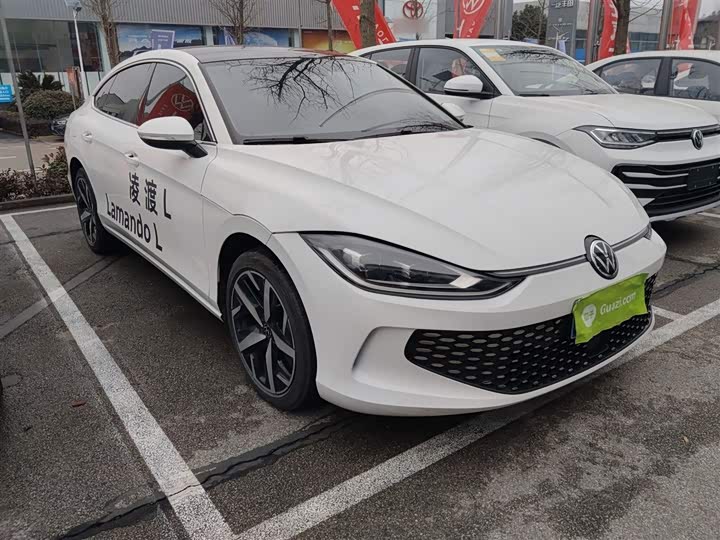 Фото 4 - Volkswagen Lamando L